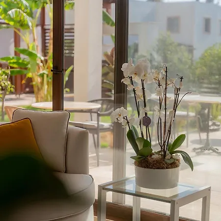 Neko * Αλικαρνασσός