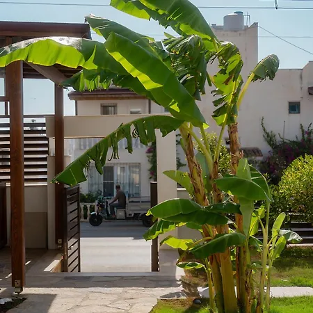 Neko * Αλικαρνασσός