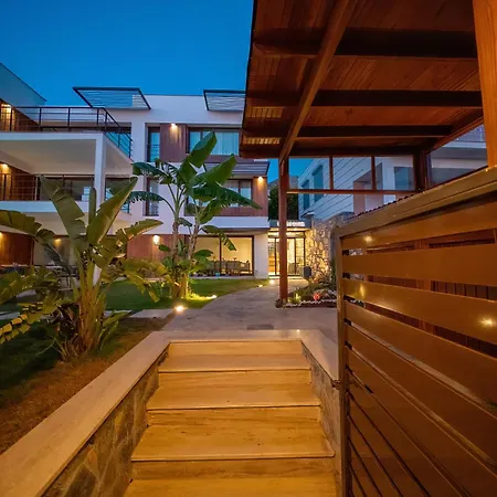 Neko * Αλικαρνασσός